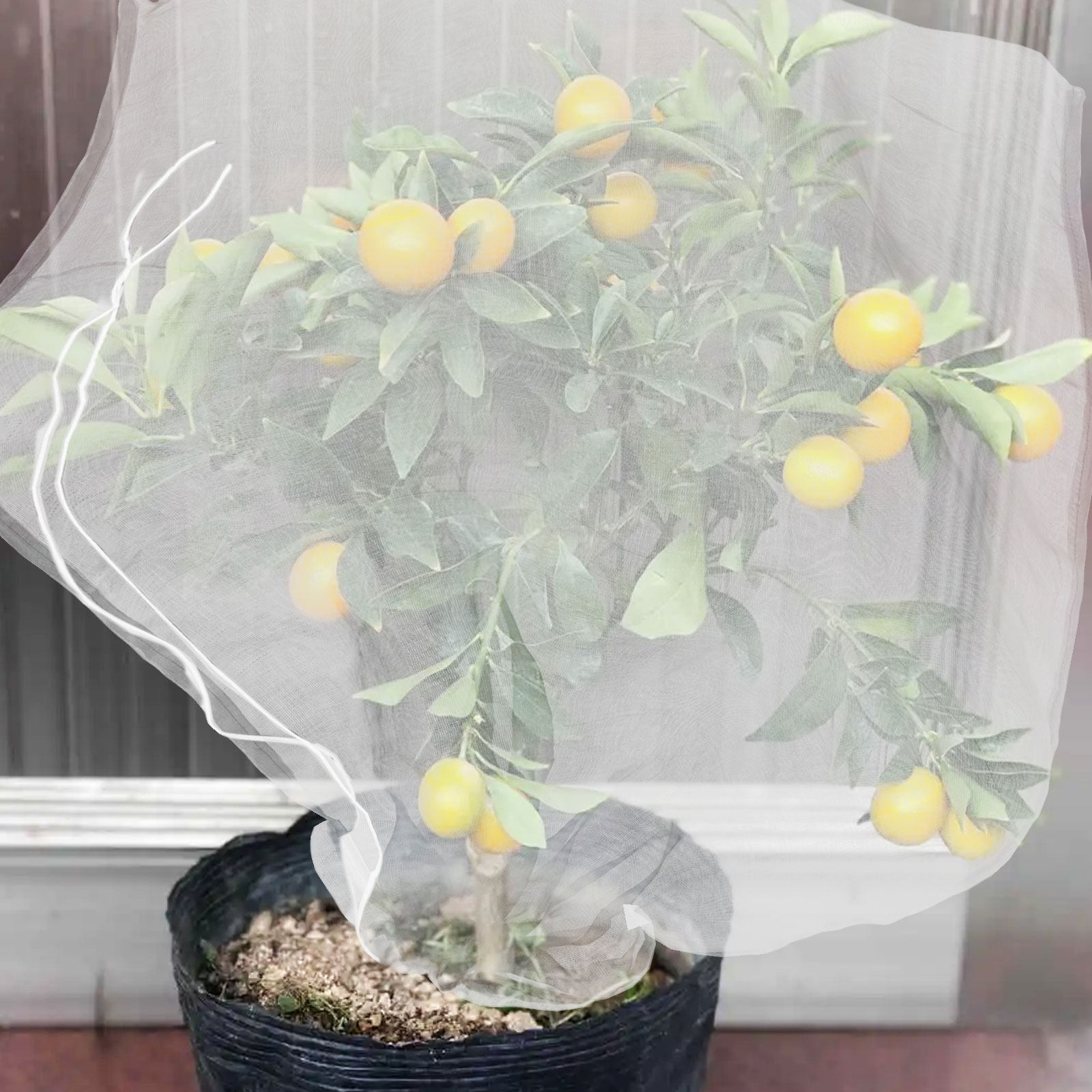 8 Adet İnce Örgü Bitki Koruma  - Mesh Net Bag incelemesi ve fiyatı