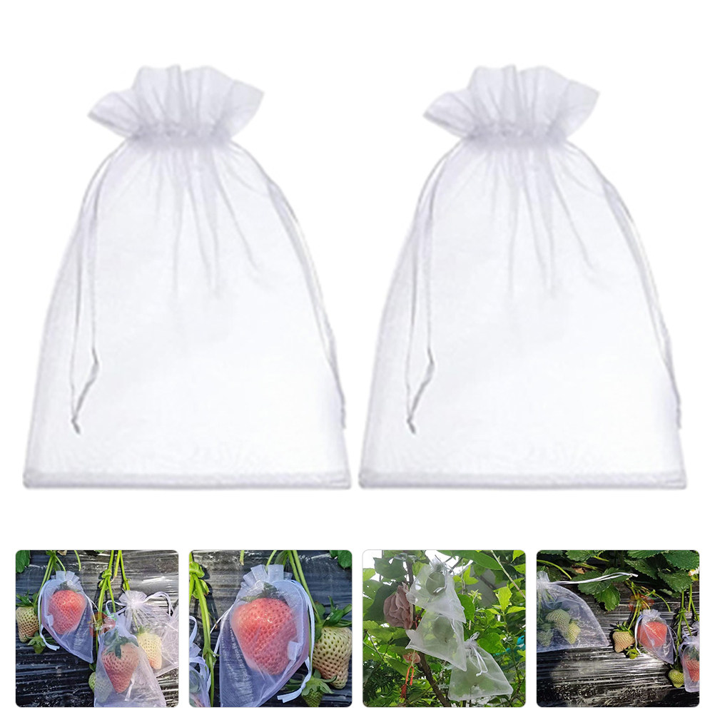 50 Adet Meyve Koruma Torbası F - Mesh Net Bag incelemesi ve fiyatı