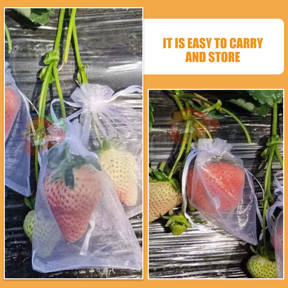 50 Adet Meyve Koruma Torbası F - Mesh Net Bag incelemesi ve fiyatı
